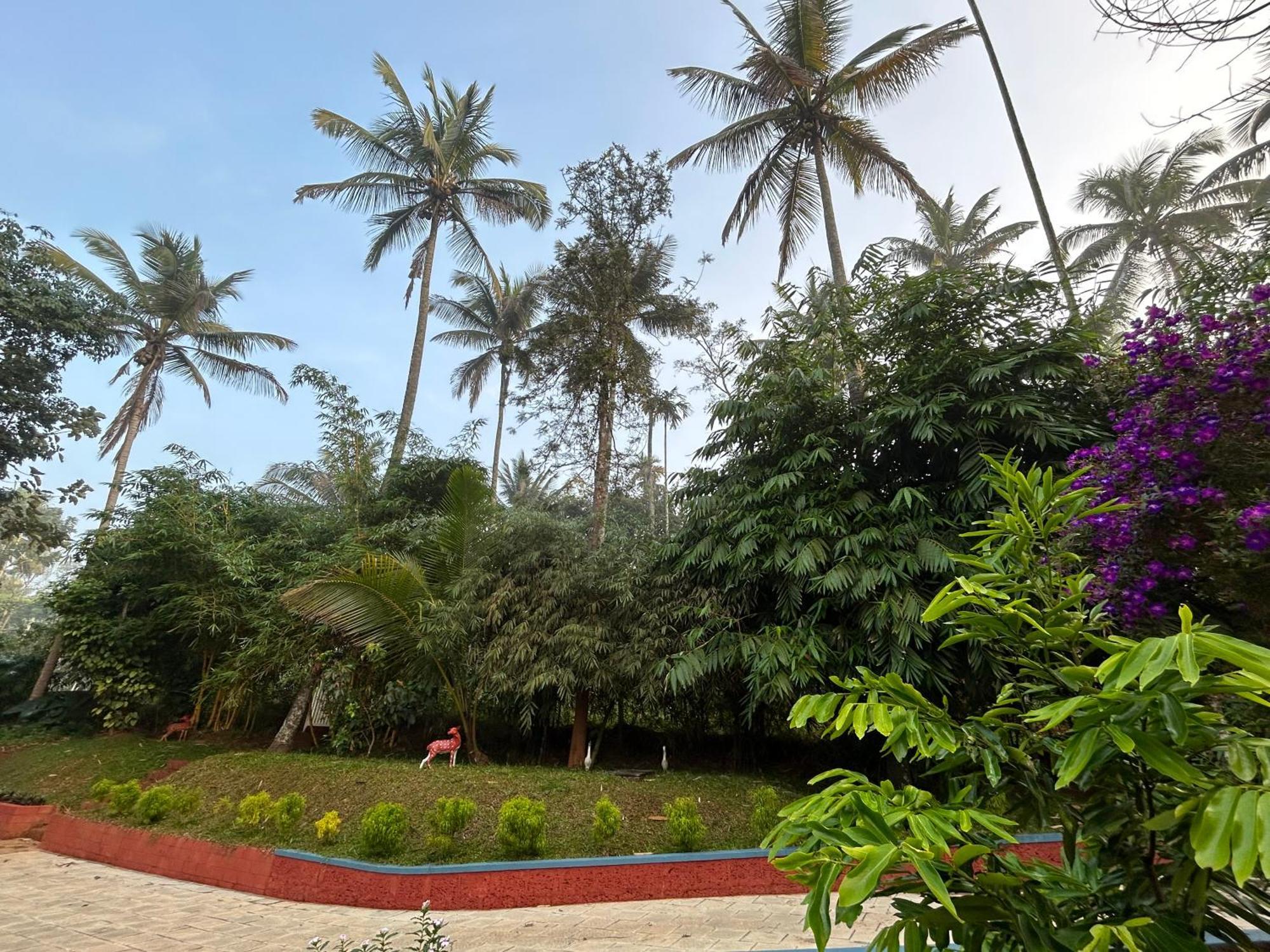 Silver Oak By Exuberance Stays Wayanad Exterior foto